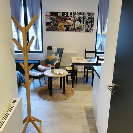 Hyper Centre St Etienne : Joli Petit Studio Apartment