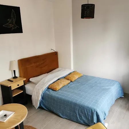 Hyper Centre St Etienne : Joli Petit Studio Apartment *